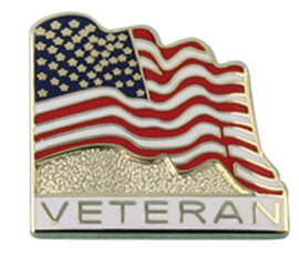 Wavy Flag Veteran Pin