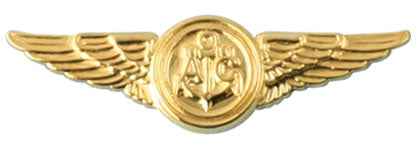 Aircrew Wings Pin