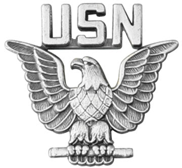 Perched Eagle Pin-USN