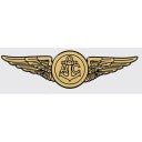 Aircrew Wings Decal