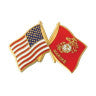 US Flag/Marine Flag Pin