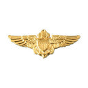 Aviator Wings Pin