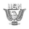 Perched Eagle Pin-USN