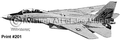 F-14A Tomcat Drawing - N on tail: 8x10