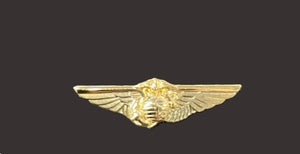 Marine's Aviator Wings Pin