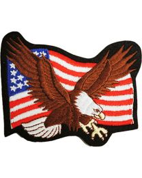 USA, Eagle Patch